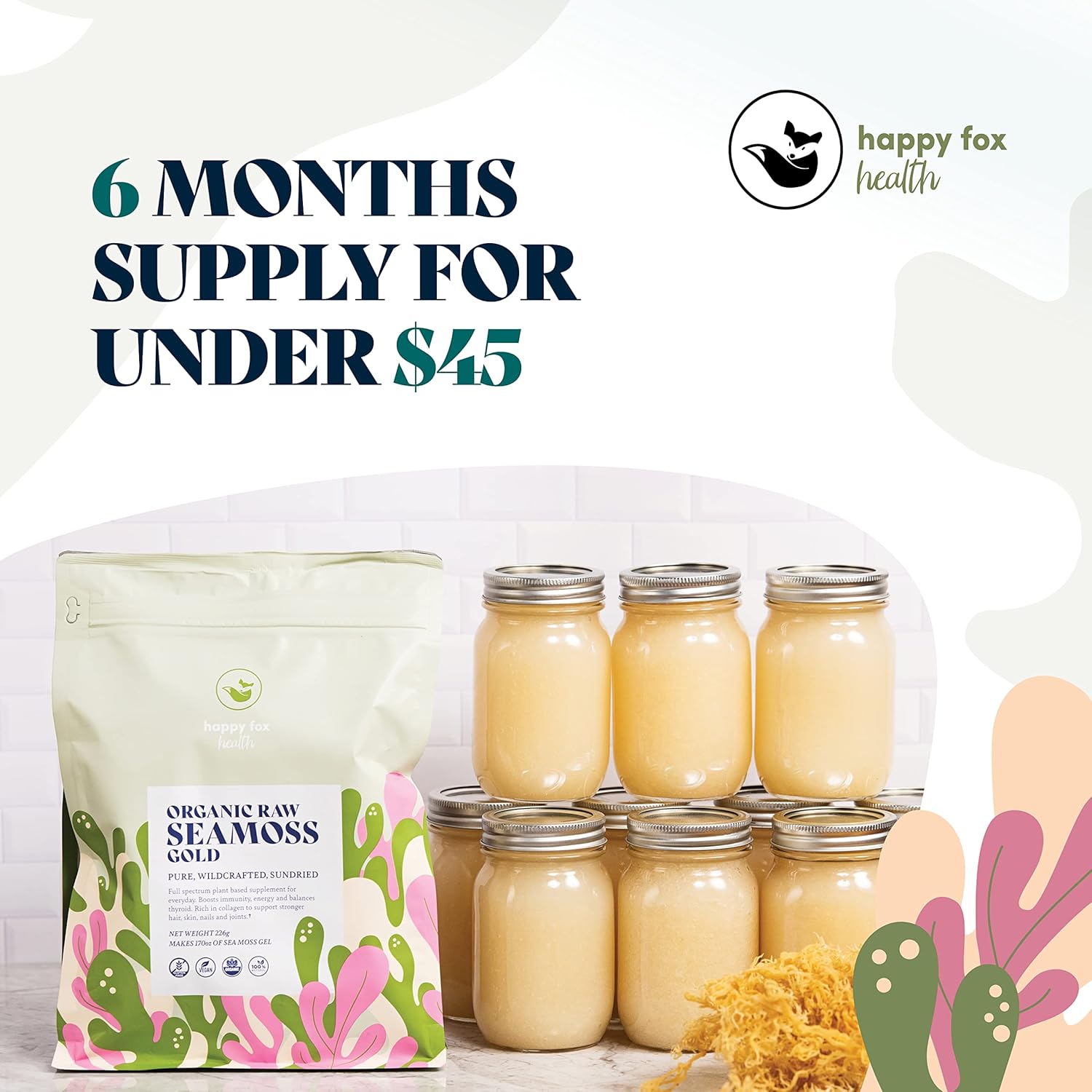 81-AlxqOpfL._AC_SL1500_.jpg Brain & Body Raw Bundle - Organic Sea Moss for Seamoss Gel (Family Size) & Smart Shrooms Liquid Drops in Vanilla Flavor - Irish Sea Moss & Mushroom Complex, Nootropic Brain Supplements for Memory & Fo - Image 2