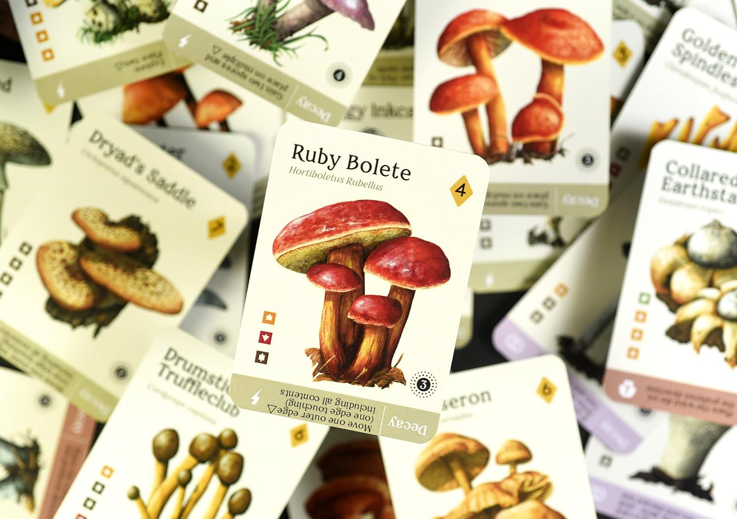 81-Wc6hx43L._AC_SL1500_.jpg Mycelia by KTBG – Tile Placement & Pattern Matching Board Game – Solo or Multiplayer Gameplay – Grow a Fungi and Mushroom Kingdom – Ages 14+, 1 to 4 Players, 50 Min Playtime - Image 5