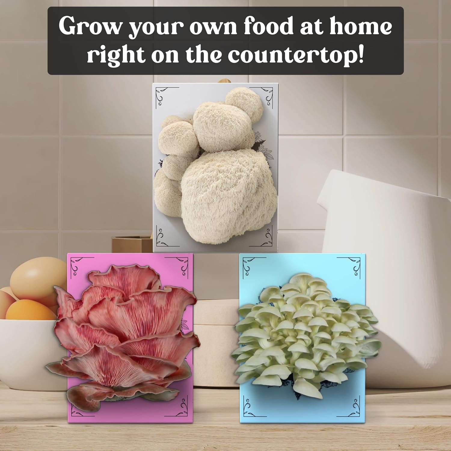 812QRxNz8TL._AC_SL1500_.jpg 3 Pack Mushroom Grow Kit (4lbs) | USDA Certified Organic | Grow Your Own Delicious Gourmet Mushrooms at Home - Image 3