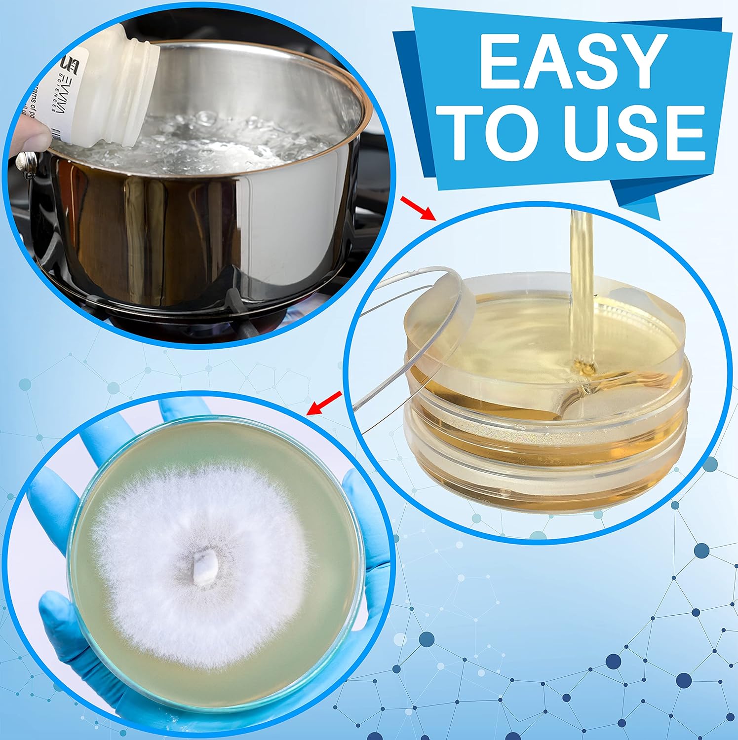 8147AYyPAOS._SL1500_.jpg Malt Extract Agar Powder 500 Grams - Evviva Sciences - Make Over 500 Agar Petri Dishes - Premium Performance - Excellent for Mold & Fungus - Great for Mushrooms & Science Projects - Image 4