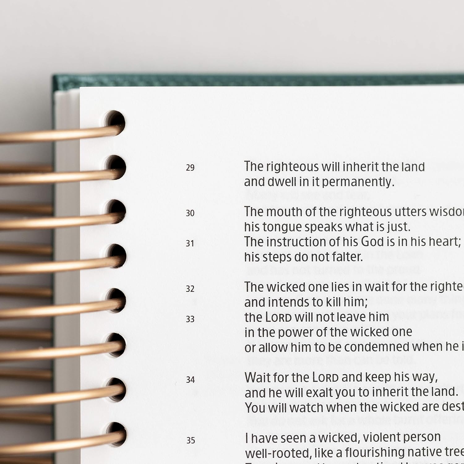 817cbW9pibL._SL1500_.jpg Illustrating Bible CSB - Spiral Bound Bible Journal, Green - Image 6