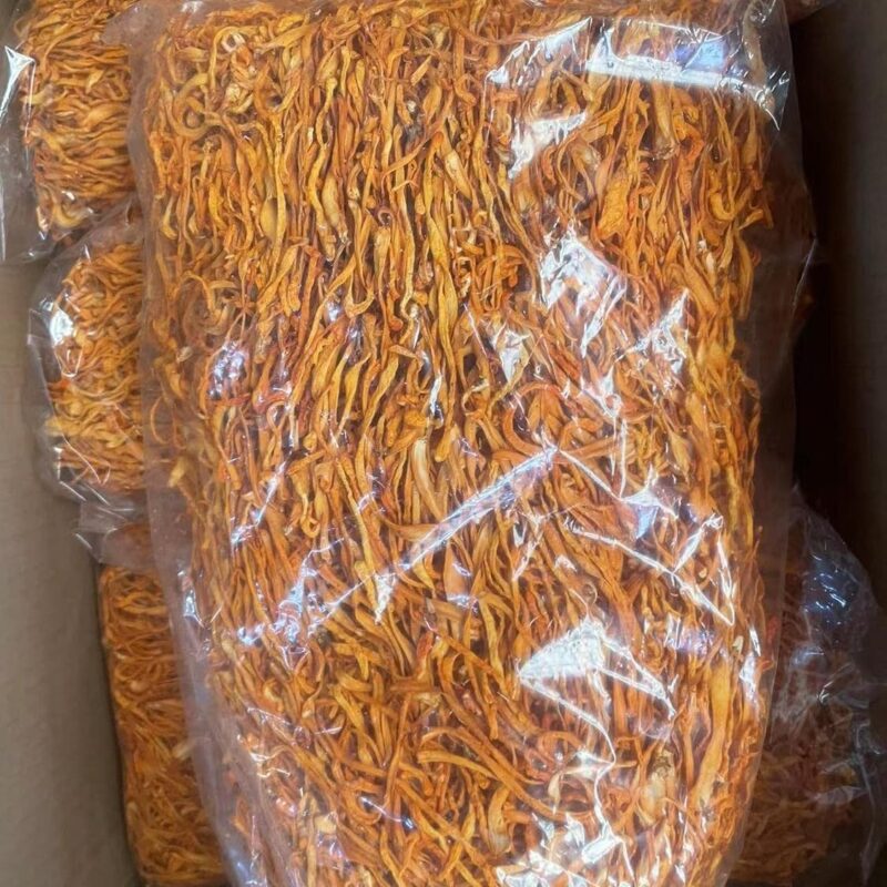 Wholesale Cordyceps Flower Dried Edible Mushroom 35.5 Oz.