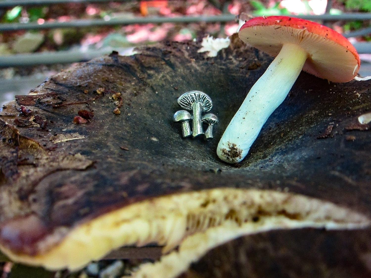 81FmxL2qQ5L._AC_SL1500_.jpg Jim Clift Design Mushrooms Lapel Pin - Image 3
