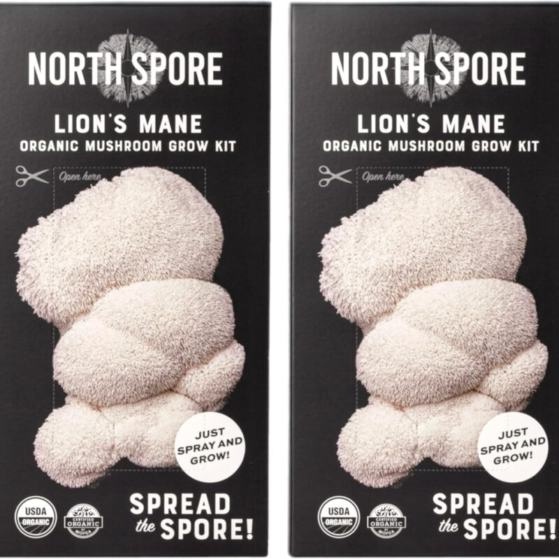 (2-Pack) North Spore Organic Lion's Mane Mushroom Spray & Grow Kits (4 lbs each) | USDA-Certified Organic, Non-GMO, Beginner-Friendly & Easy to Use | Handmade in Maine, USA