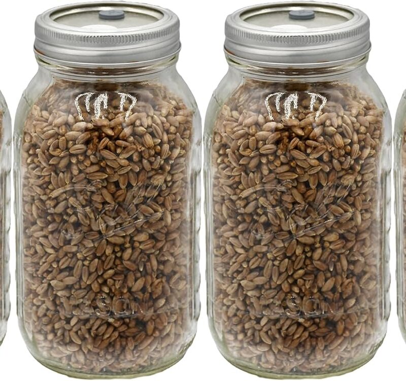 Sterilized Rye Berry Mushroom Substrate in Injectable Quart Jars