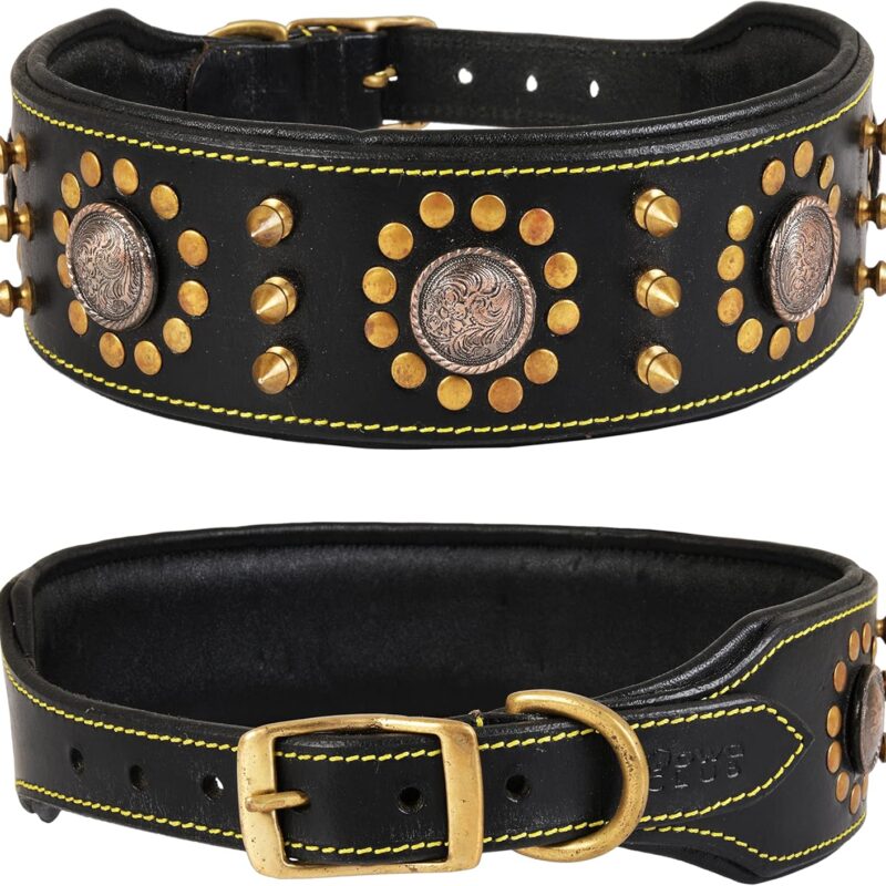 | Punk Series Genuine Leather Dog Collar | Full Grain, Saddle Grade, Heavy Duty | Luxury, Stylish, Comfortable, Best for Medium, Large, XL Breeds |