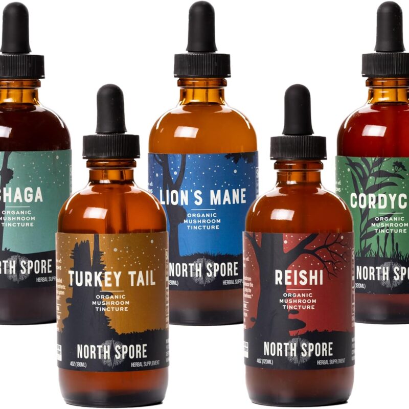 North Spore (5-Pack) Mushroom Tincture Variety Pack, 4 oz Each | Lion's Mane, Chaga, Cordyceps, Turkey Tail, Reishi | Organic, Vegan, Non-GMO | 100% Fruiting Body Extracts