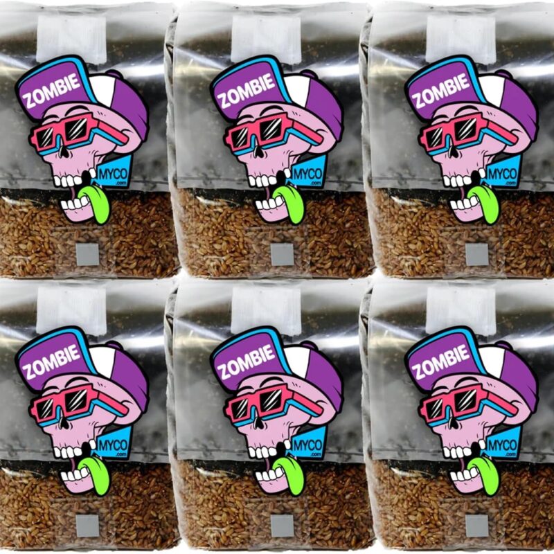 All in One Mushroom Grow Bag, 3lb Mini Bag,Sterilized Grain and CVG Substrate, Mushroom Grow Kit, Grow Mushrooms at Home, Growing Bag w/Injection Port, Bring Your Own Spores (6Pack)