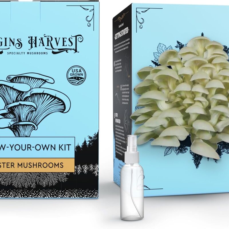 Oyster Mushroom Grow Kit (4lbs) | USDA Certified Organic | Grow Your Own Delicious Gourmet Mushrooms at Home