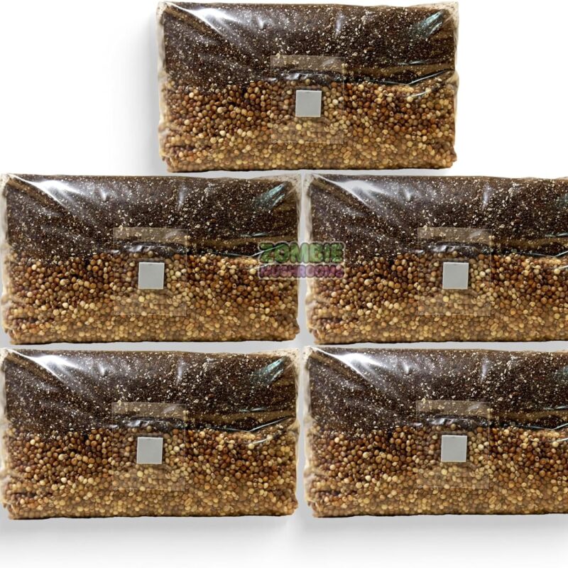 All in One Mushroom Grow Bag, 5lb Mega Bag,Sterilized Grain and CVG Substrate, Mushroom Grow Kit, Grow Mushrooms at Home, Growing Bag with Injection Port, Bring Your Own Spores (5)