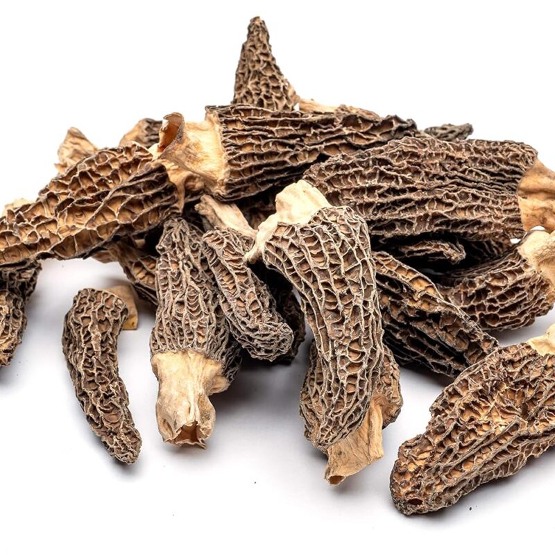 Slofoodgroup Dried Morel Mushrooms (Morchella Conica) Gourmet Morel Mushrooms (1 Lb ) Morel Mushrooms