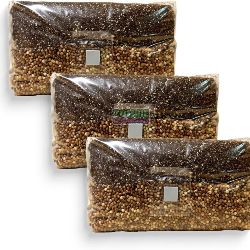 All in One Mushroom Grow Bag, 5lb Mega Bag,Sterilized Grain and CVG Substrate, Mushroom Grow Kit, Grow Mushrooms at Home, Growing Bag with Injection Port, Bring Your Own Spores (3)
