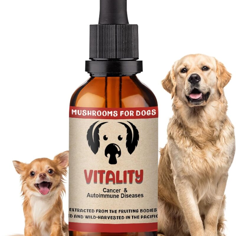 MycoDog Vitality - Mushroom Extract & Adaptogen Tincture - Liver Support for Dogs with Shiitake Mushrooms,Turkey Tail, Chaga, Maitake & Reishi for Canines with Debilitating Conditions