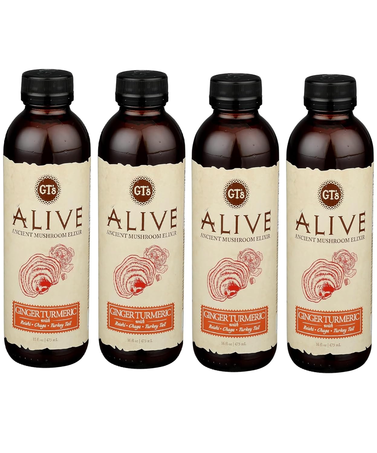 81jdS0lNkpL._SL1500_.jpg Generic GTS LIVING FOODS Guayusa Turmeric Alive Sparkling Cider, 16 Fl Oz pack of 4