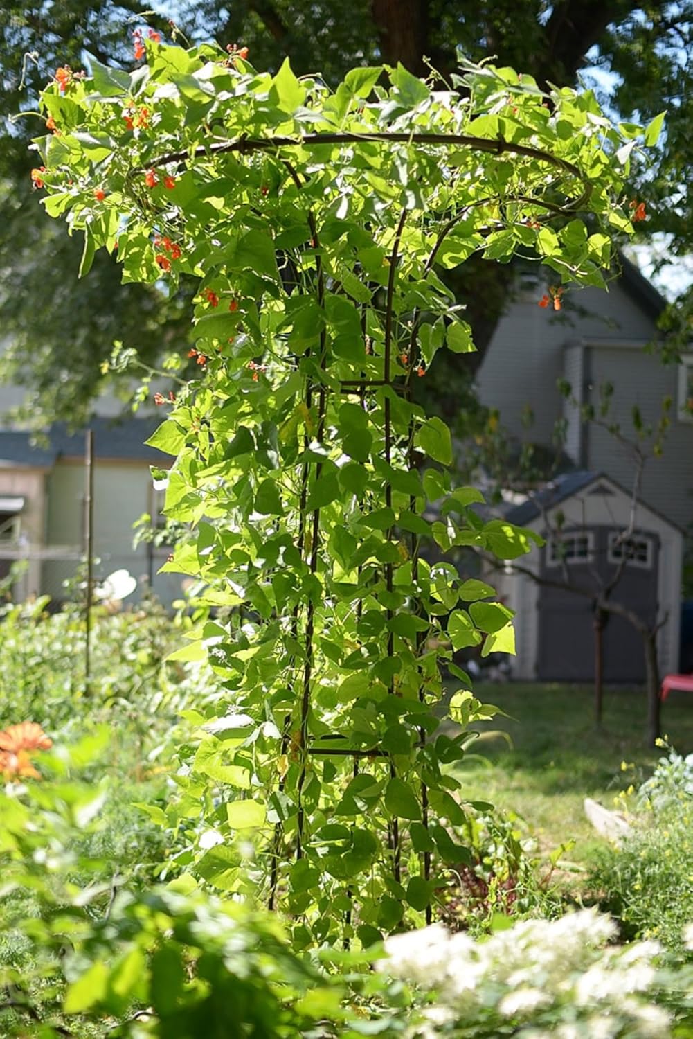 81kMc473sNL._AC_SL1500_.jpg Achla Designs PYL-09 Mushroom Garden Pylon Trellis Climbing Plants Support, Wrought Iron, 72-in H, Roman Bronze - Image 3