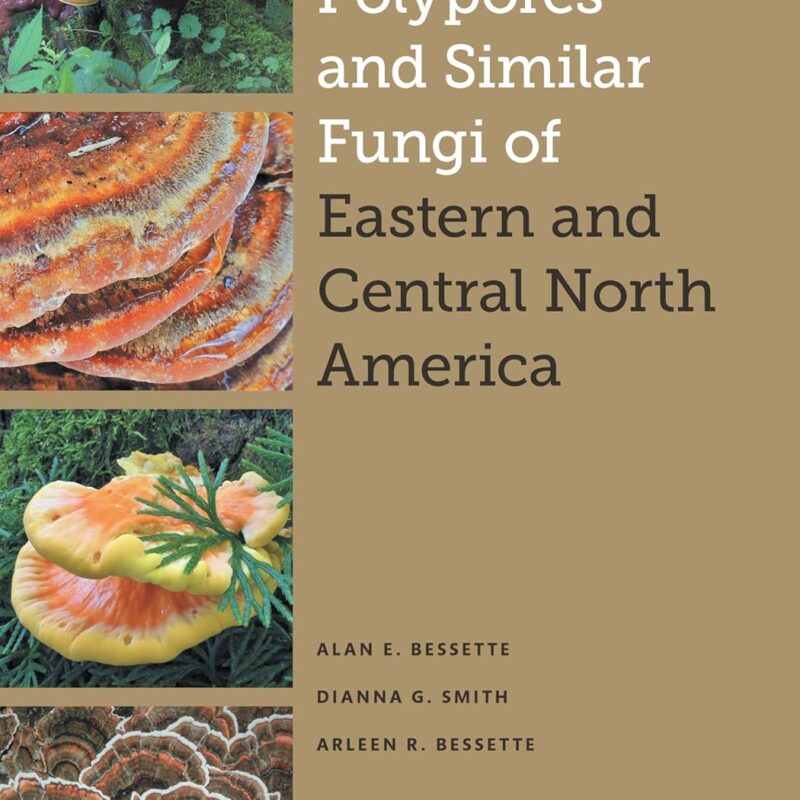Polypores and Similar Fungi of Eastern and Central North America (The Corrie Herring Hooks Series)