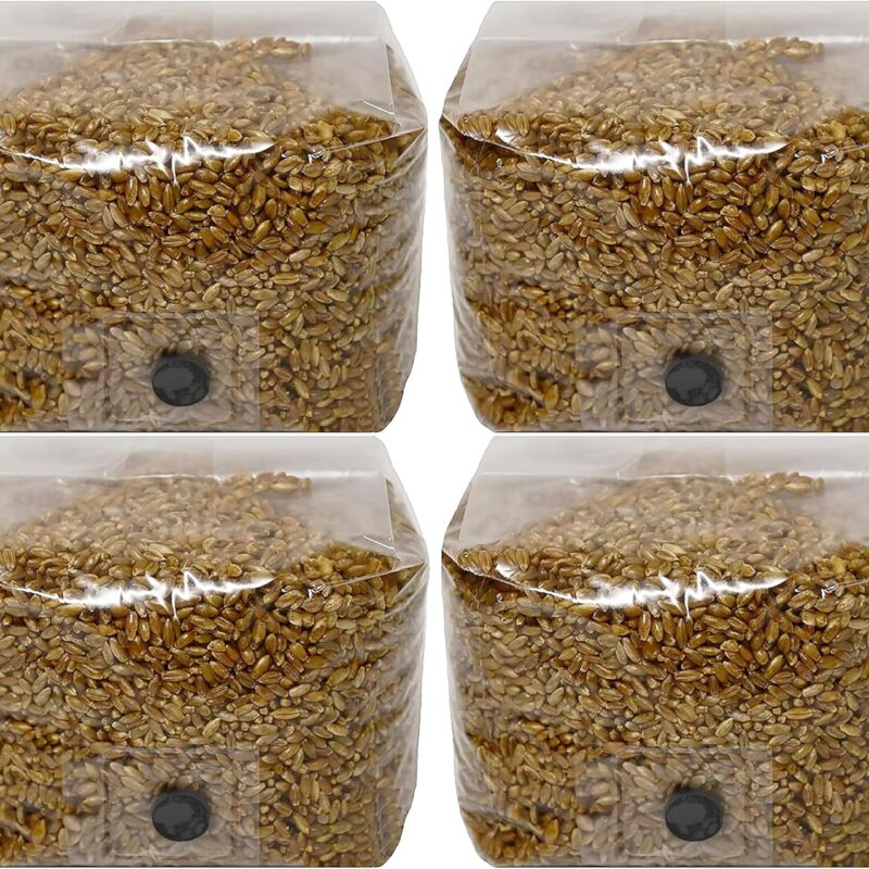 Rye Berry Mushroom Substrate Grow Bags with Self Healing Injection Port (3lbs Bag) (4)