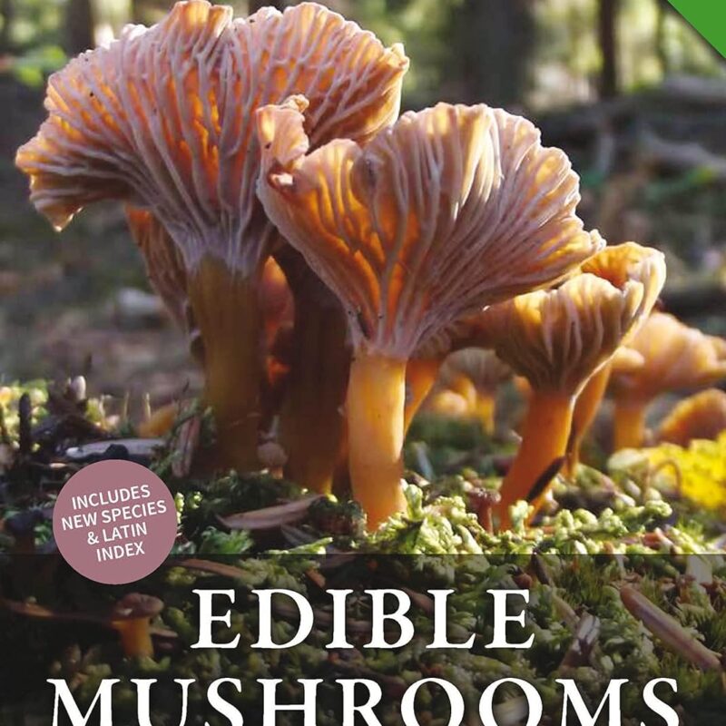 Edible Mushrooms: A forager's guide to the wild fungi of Britain and Europe