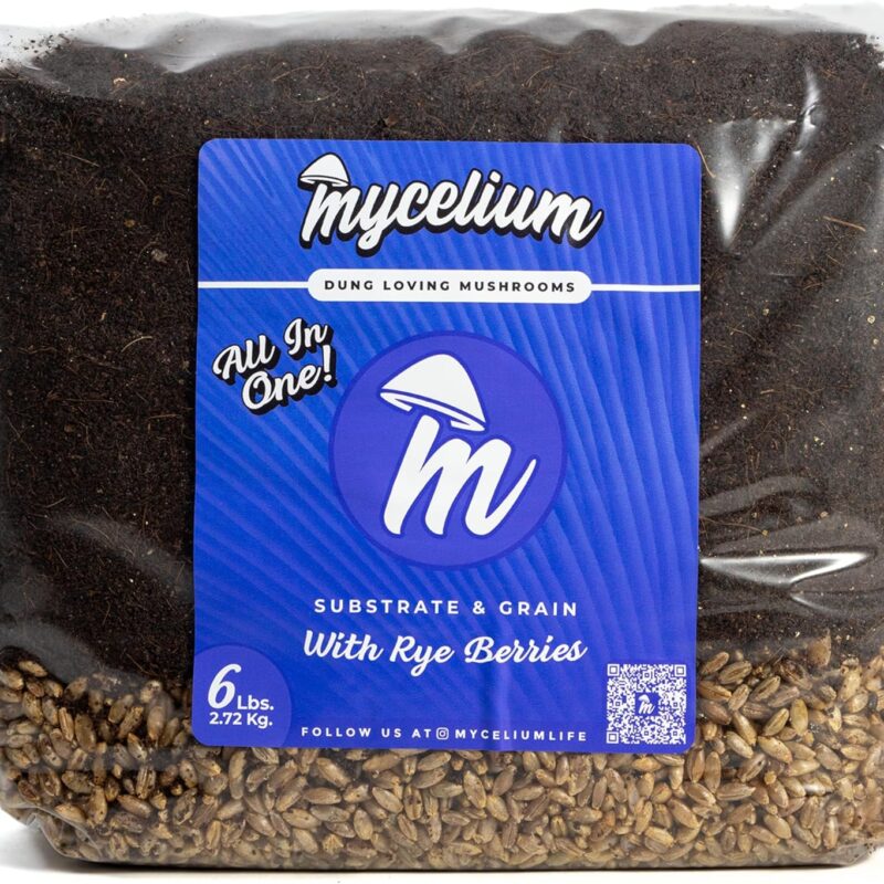 Mycelium's Superior Dung-Loving Mushroom Substrate & Rye Berries Grain 6 LB All-in-One Bag – Organic Coco Coir, Vermiculite & Gypsum Formula, Pre-Sterilized & Ready for Easy Home Cultivation
