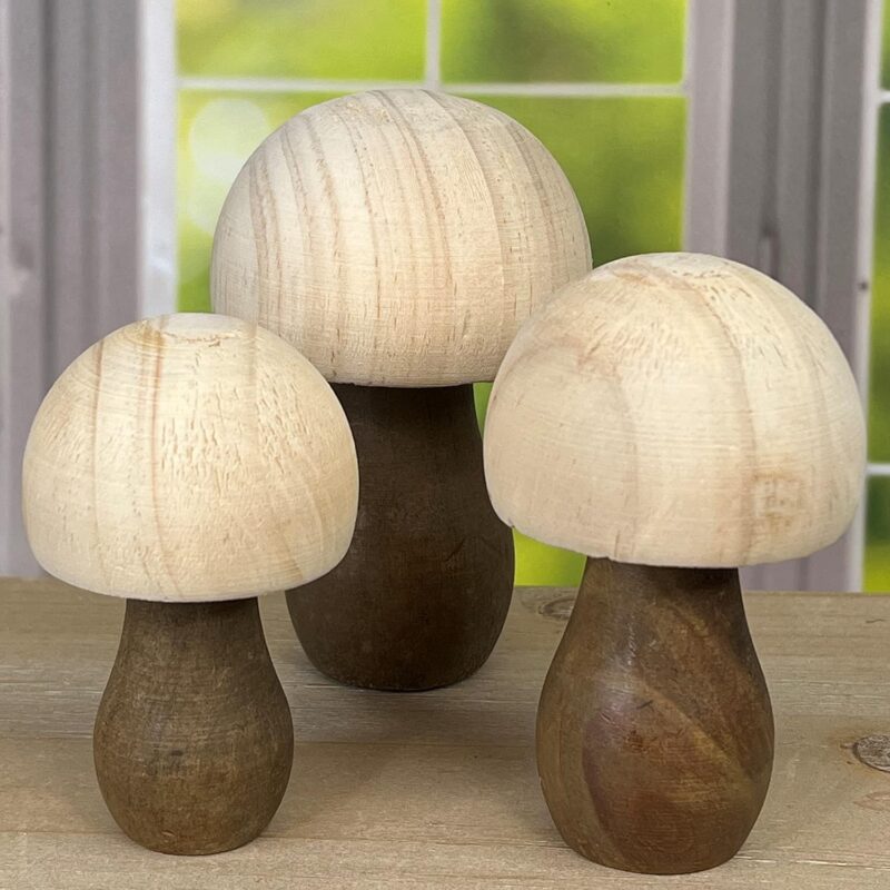 WHOLESALE Mushroom DIY, Set of 12, Create Your Own, Painting woodland Art Decor, Cottage core, Spring Project, DIY for Adults
