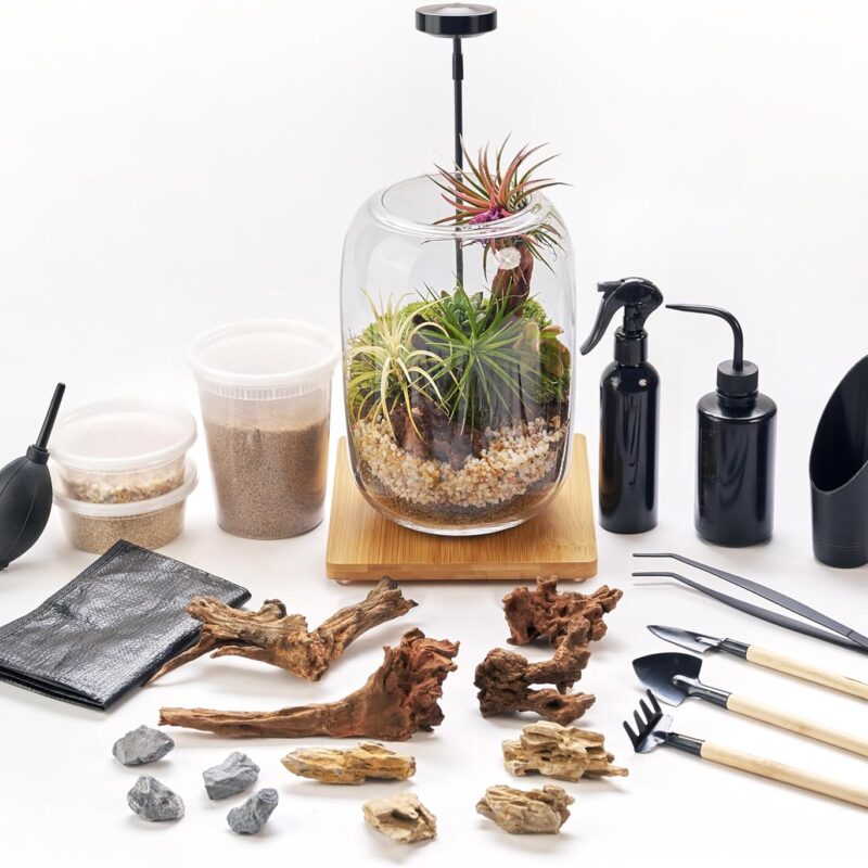 Terrarium Kit/Supplies Terrarium Plants Set with Grow Light, for Succulents Miniature Gardening, Include Terrarium jar Tool Set Live Moss Rocks Soil Driftwood and Decor, for Plant Lovers