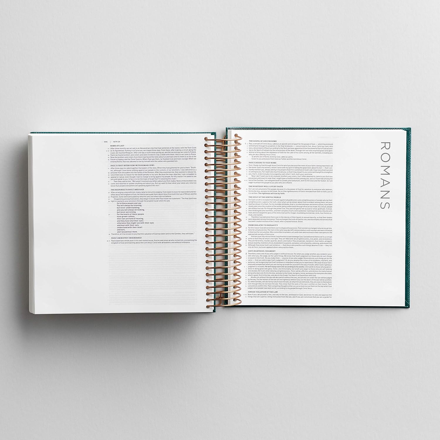 91ACtSFu1OL._SL1500_.jpg Illustrating Bible CSB - Spiral Bound Bible Journal, Green - Image 3