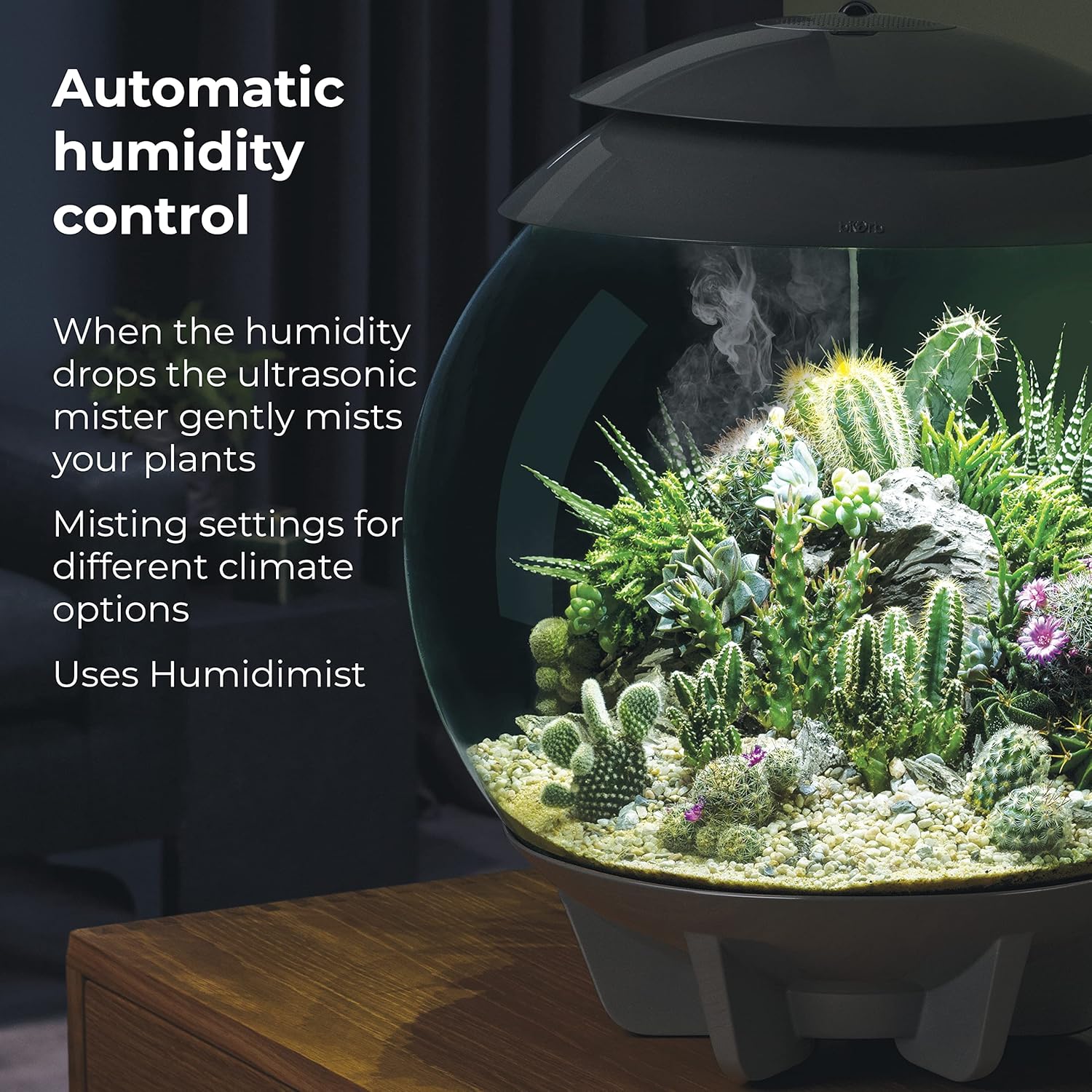 91EVmIAX7L._AC_SL1500_.jpg biOrb AIR 30, Fully Automated Terrarium for Arid, Temperate, or Tropical Plants, Gray - Image 7
