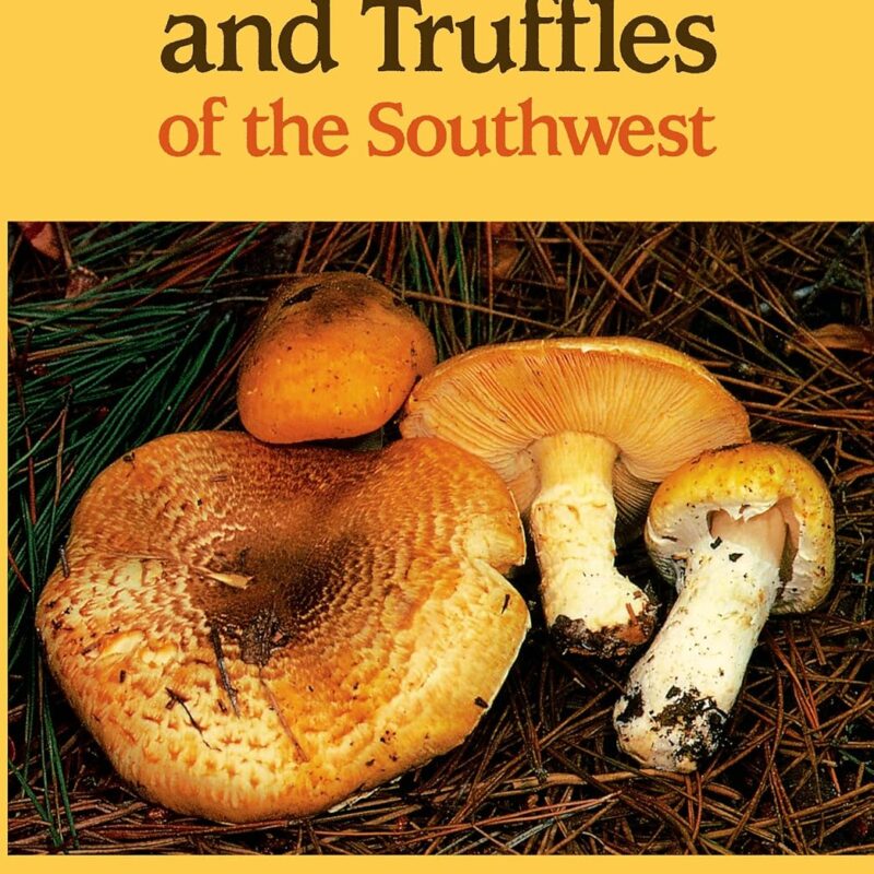 Mushrooms and Truffles of the Southwest