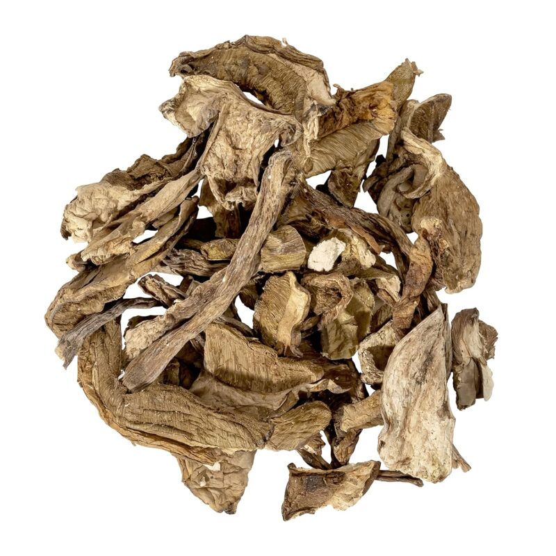 Italian Porcini Grade AB 16 oz by JR Mushrooms