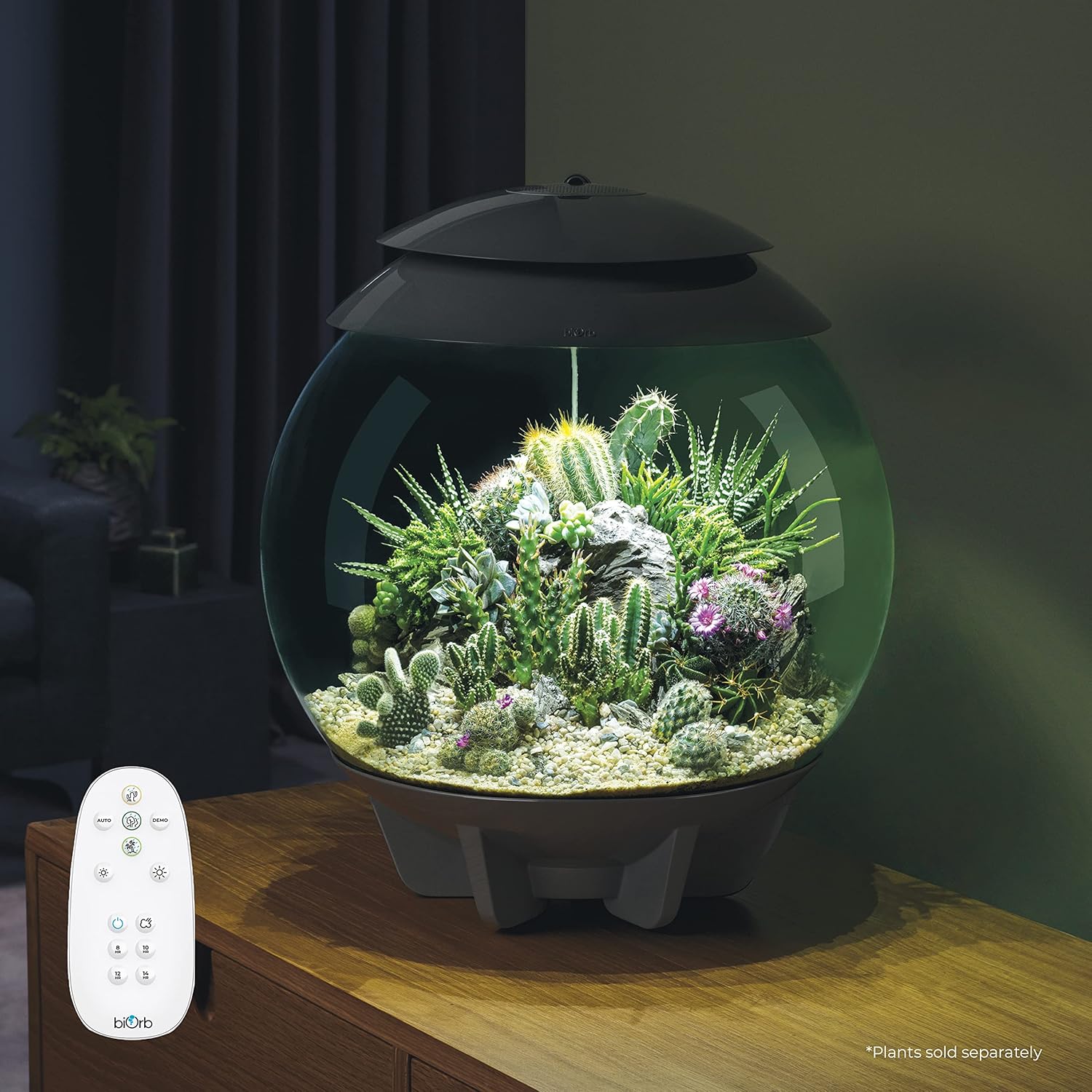 91Tnnmp3EZL._AC_SL1500_.jpg biOrb AIR 30, Fully Automated Terrarium for Arid, Temperate, or Tropical Plants, Gray - Image 2