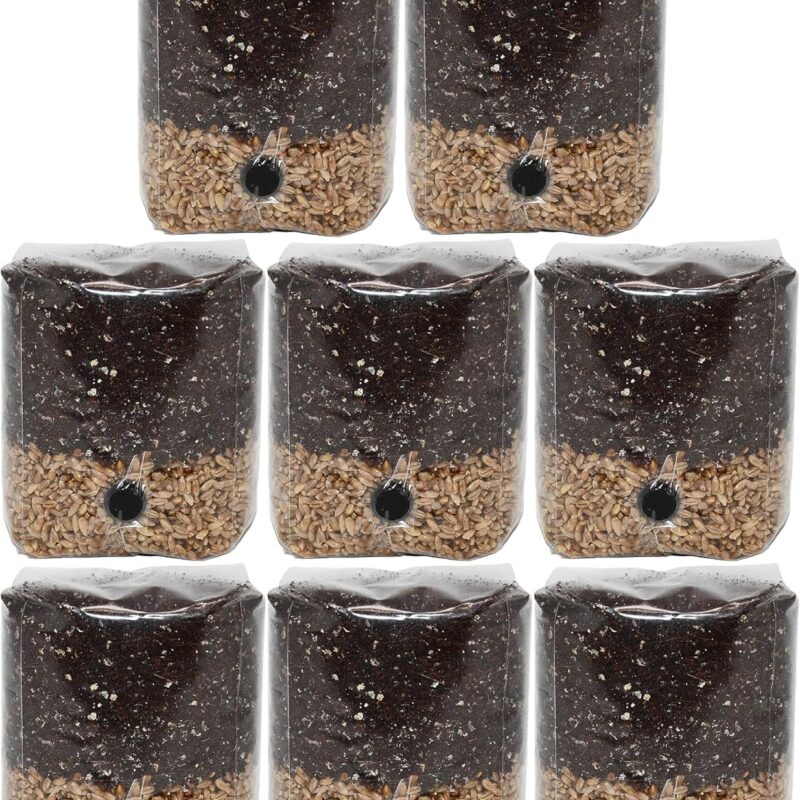 Mini All-in-One Mushroom Grow Bags (8-Pack)