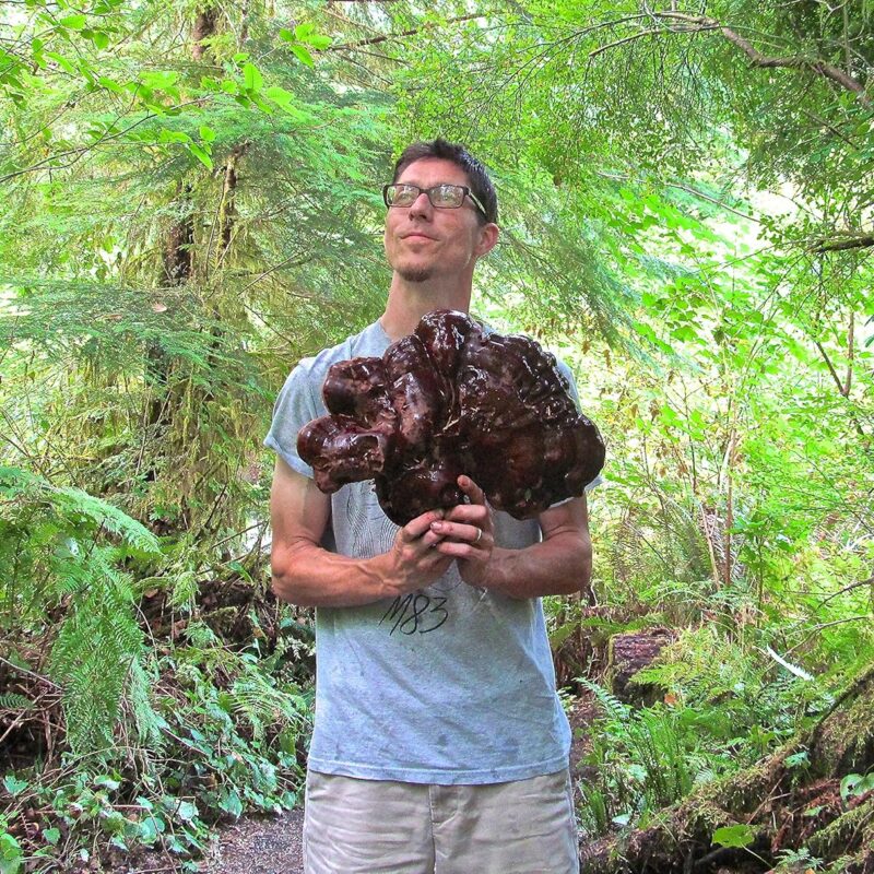 Fungal Freedom-Guide To Wild Mushrooms Of Washington State