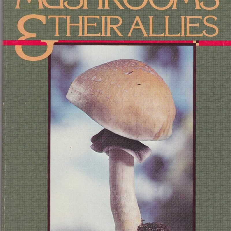 Psilocybe Mushrooms and Their Allies