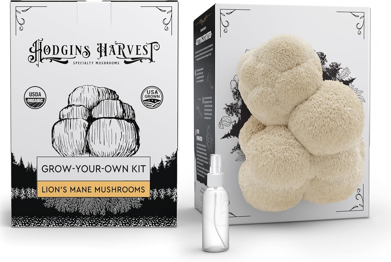 1742922344_81yW6T5ZjBL._AC_SL1500_.jpg 3-Pack of Organic Mushroom Grow Kits Plus Additional Lion's Mane Kit