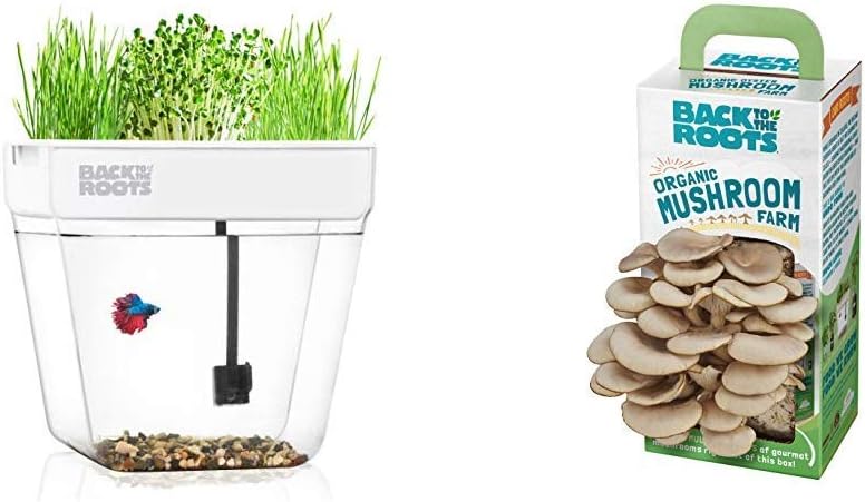 Back to the Roots Water Garden Betta Fish Tank + Organic Mushroom Growing Kit