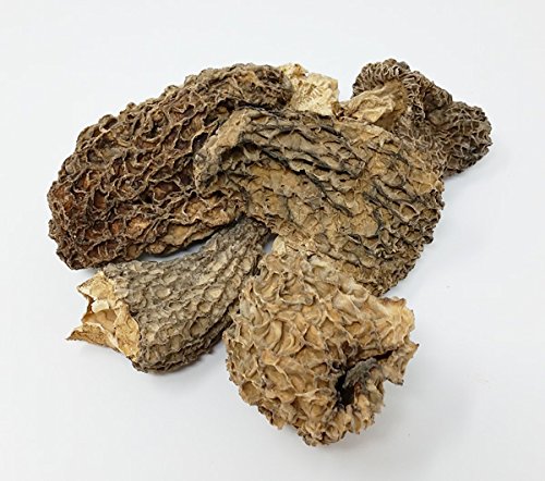 Dried Morel Mushrooms