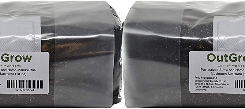 Pasteurized 50/50 Straw/Manure Mushroom Substrate (10 lbs)