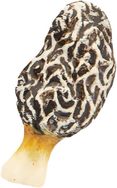 Handcrafted Wild Mushroom Brooch and Lapel Pins - Morel, Chanterelle, and Toad Stool - Pewter, Copper, Gold, Hand Painted - Handmade in The United States