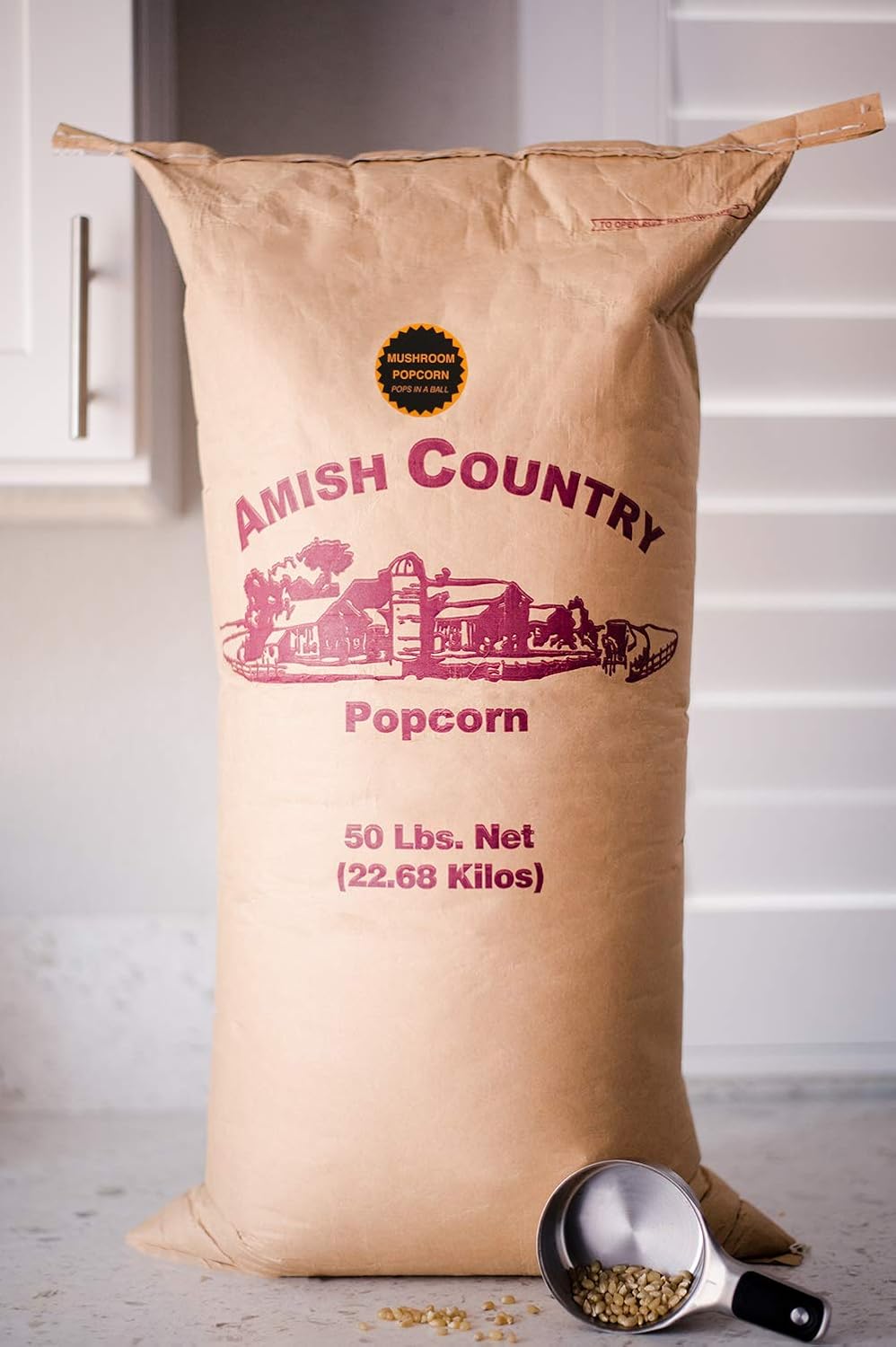 6115e9vi0RL._SL1500_.jpg Amish Country Popcorn | 50 Pound Bag Mushroom Kernels | Old Fashioned, Non-GMO and Gluten Free (50lb Bag) - Image 3