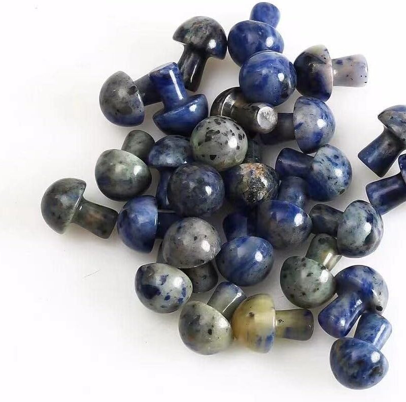 XUQULI 3pc Bulk Gemston Carved Blue Sodalite Quartz Mini Crystal Mushrooms Great Choice for Home Decoration