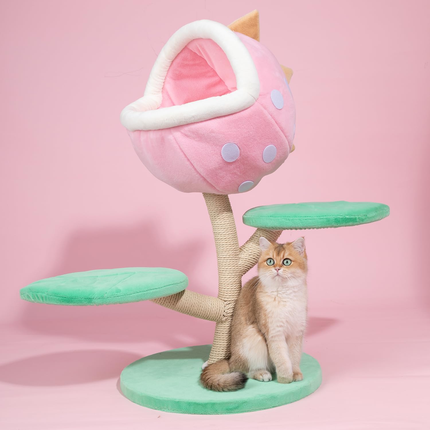 61MQUXu9twL._AC_SL1500_.jpg Happy&Polly Piranha Flower Cat Tree - 31.5 inch Monster World Cat Tree with Cozy Carnivore Cove, Multiple Platform and Sisal-Wrapped Trunk
