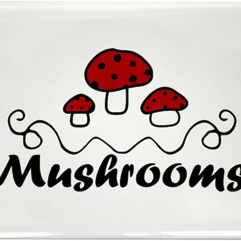 CafePress Mushrooms Magnets Rectangle Magnet (100 Pack)
