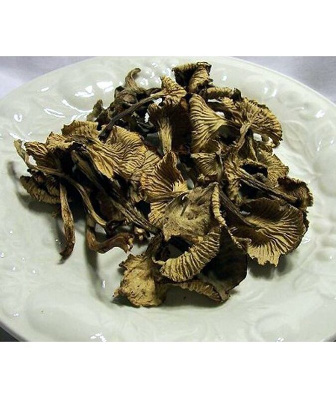 Yellow Feet Mushrooms Powder