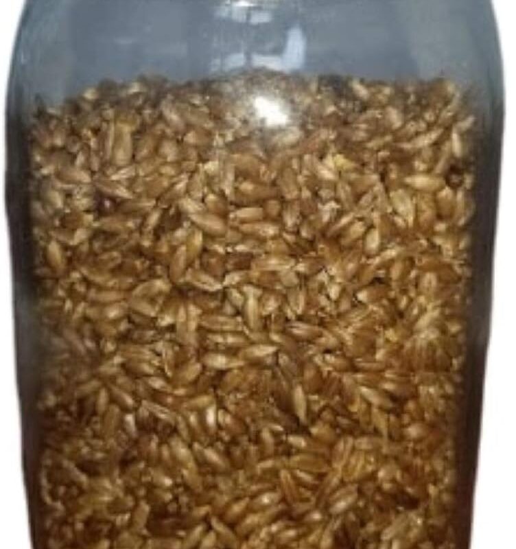 Sterilized Rye Berries Grain Mushroom Substrate in Injectable Jars (6 Jars Per Order) - Each Jar Has a Self-Healing Injection Port and a Filter