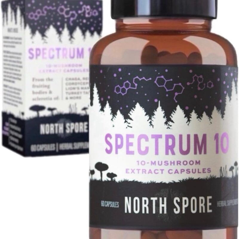 North Spore Organic 'Spectrum 10' High Potency Mushroom Capsules | Cognitive Supplement | Lion's Mane, Chaga, Cordyceps, Reishi, Turkey Tail | 10 Medicinal Mushrooms | Energy, Focus, Clarity - 60ct