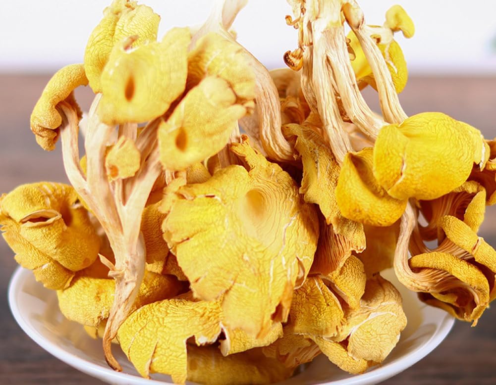 61jB7lAOwhL._AC_SL1001_.jpg Chanterelle Mushrooms Dried (500g(1.10pounds)) - Image 2