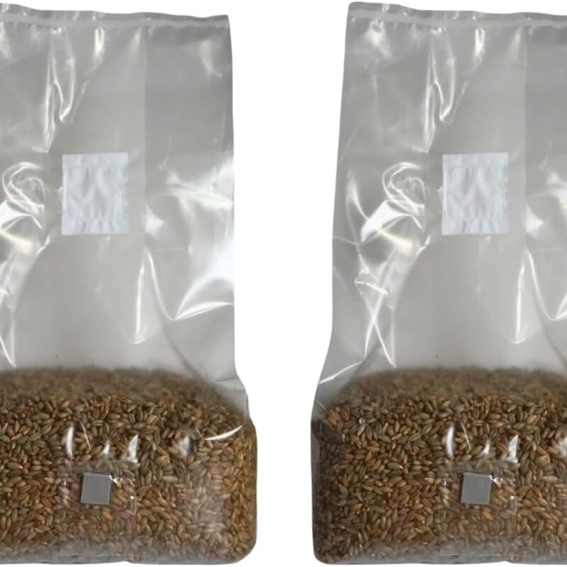 5lb Organic Sterile Mushroom Grain Spawn | Injector Port Grow Bags, Hydrated, Ready to Inoculate (Pack of 2) | Made in USA