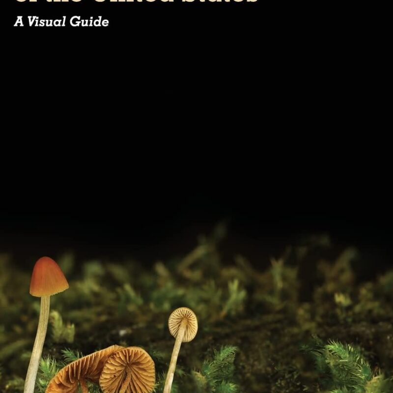 Psilocybin Mushrooms of The United States: A Visual Guide