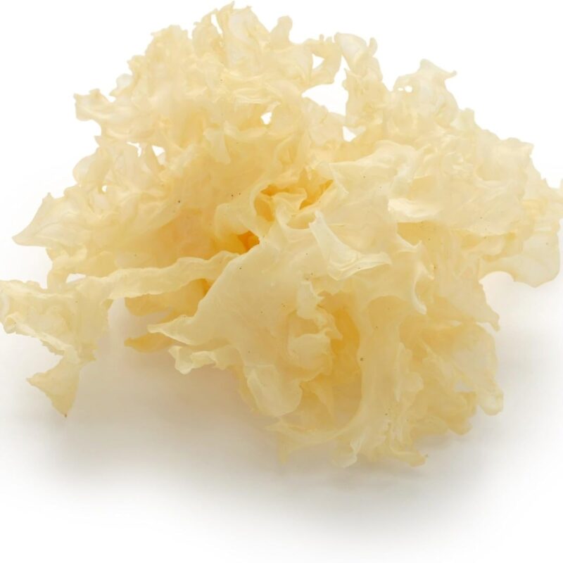Snow Mushroom Extract Powder 20% Polysacchrides • Ultra Hydrating • Collagen Production • Skin Brigntening