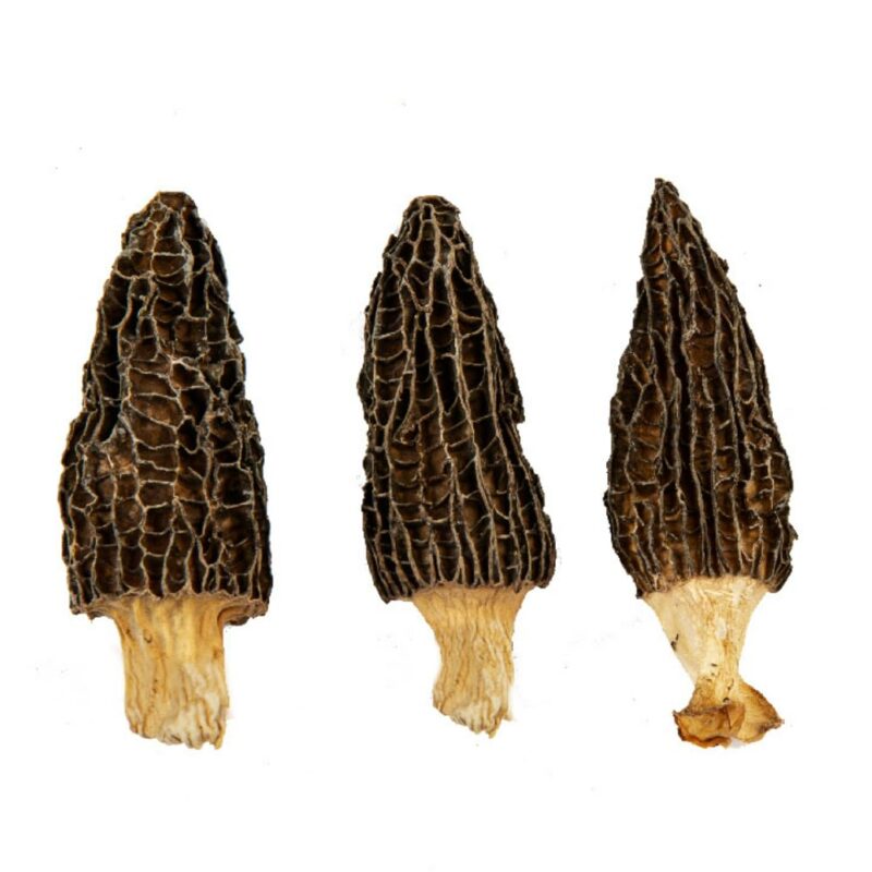 Wild Dried Morel Mushrooms,Morchella Conica with Tender and Delicious Meat,Dry Morel Mushrooms Rich in Nutrients,Dehydrated Mushrooms Suitable for Vegetarians. (100 Gram)